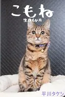 こもね〜生後6か月〜