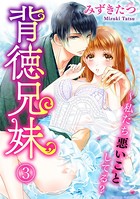 背徳兄妹〜私たち悪いことしてる？