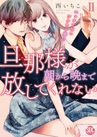 旦那様が朝から晩まで放してくれない〜エッチで甘いワケあり婚!?【コミックス版】【電子版限定特典付き】 2巻