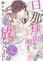 旦那様が朝から晩まで放してくれない～エッチで甘いワケあり婚！？