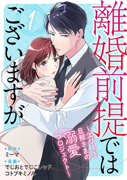 離婚前提ではございますが〜エリート旦那さまの溺愛プロジェクト〜