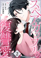 スペアカップルの復讐愛 2