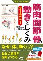 運動・からだ図解 筋肉・関節・骨の動きとしくみ