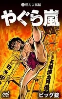 やぐら嵐