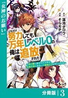 どれだけ努力しても万年レベル0の俺は追放された〜神の敵と呼ばれた少年は、社畜女神と出会って最強の力を手に入れる〜【分冊版】（ノヴァコミックス）3