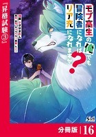モブ高生の俺でも冒険者になればリア充になれますか？【分冊版】（ノヴァコミックス）16