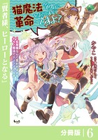 猫魔法が世界に革命を起こすそうですよ？【分冊版】（ノヴァコミックス）6