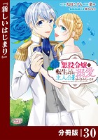 悪役令嬢に転生したはずが、主人公よりも溺愛されてるみたいです【分冊版】 （ラワーレコミックス） 30