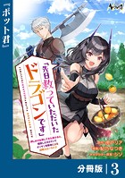 先日救っていただいたドラゴンです【分冊版】（ノヴァコミックス）3
