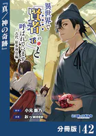異世界で『賢者……の石』と呼ばれています【分冊版】（単話）