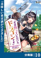 先日救っていただいたドラゴンです【分冊版】（ノヴァコミックス）10