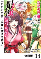 ただの門番、実は最強だと気づかない【分冊版】（ノヴァコミックス）14