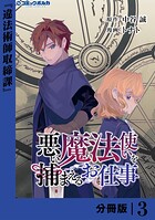 悪い魔法使いを捕まえるお仕事【分冊版】3