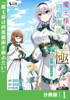 魔王様は回復魔術を極めたい【分冊版】（単話）