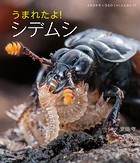 うまれたよ！ シデムシ
