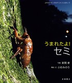 うまれたよ！ セミ