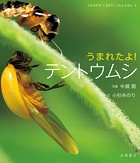 うまれたよ！ テントウムシ