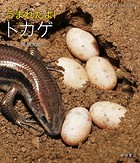 うまれたよ！ トカゲ