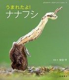 うまれたよ！ ナナフシ