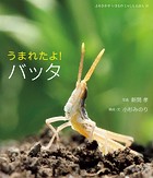 うまれたよ！ バッタ