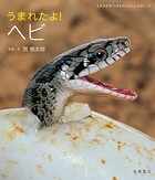 うまれたよ！ ヘビ