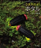 うまれたよ！ ホタル