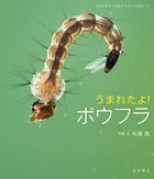 うまれたよ！ ボウフラ