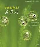 うまれたよ！ メダカ