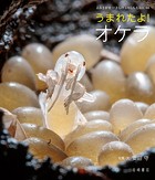 よみきかせ いきものしゃしんえほん
