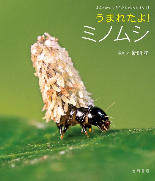 うまれたよ！ ミノムシ