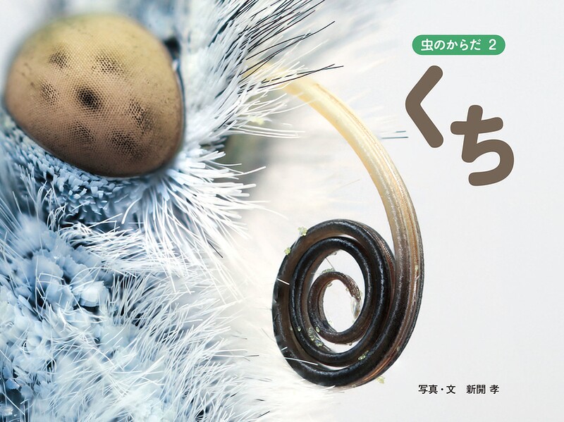 くち