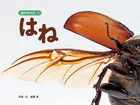 虫のからだ