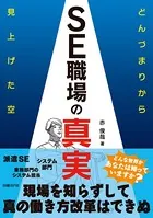 SE職場の真実 どんづまりから見上げた空