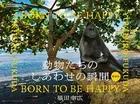 動物たちのしあわせの瞬間 増補版