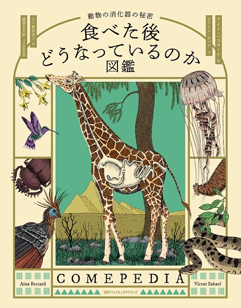 食べた後どうなっているのか図鑑 動物の消化器の秘密