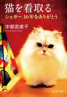 猫を看取る シュガー、16年をありがとう