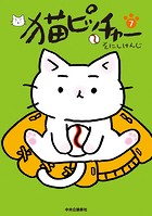 猫ピッチャー 7