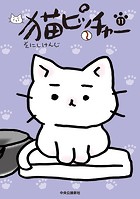 猫ピッチャー 11