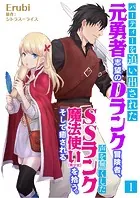 パーティーを追い出された元勇者志望のDランク冒険者、声を無くしたSSランク魔法使い（美少女）を拾う。そして癒される