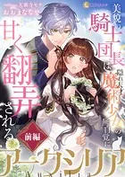 アークシリア〜美貌の騎士団長は隠れ天才魔術少女の無自覚に甘く翻弄される〜