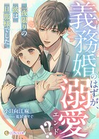 義務婚のはずが、溺愛エンド！？ 〜一夜限りの彼は旦那様でした〜