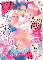 溺愛王子はワケあり物件！？〜甘やかされて濡れすぎ警報〜（2）