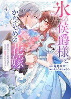 【特装版】氷の侯爵様とかりそめの花嫁〜愛のない王命婚なのに、なぜか溺愛されてます〜 4