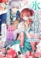 【特装版】氷の侯爵様とかりそめの花嫁〜愛のない王命婚なのに、なぜか溺愛されてます〜 5