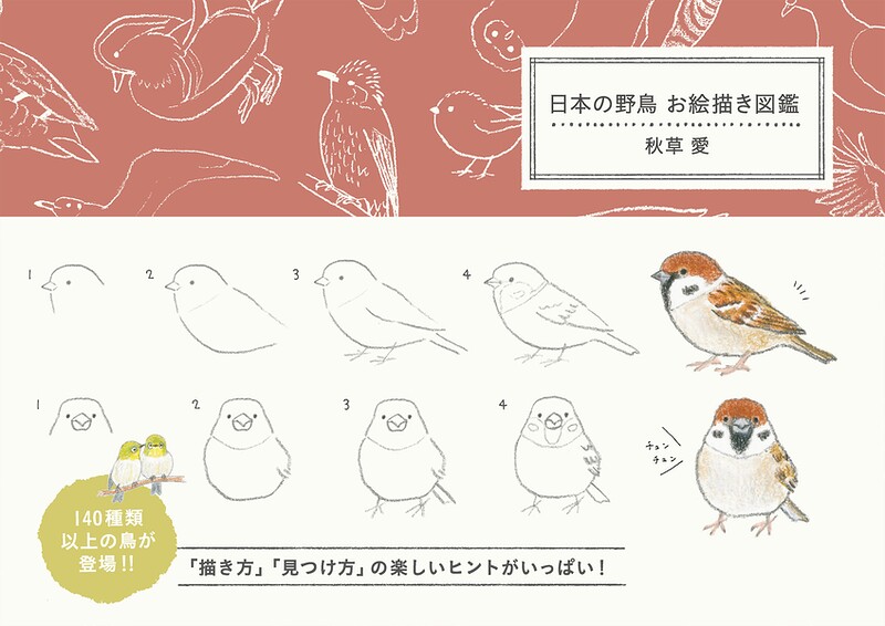 日本の野鳥 お絵描き図鑑