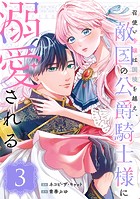 召使い令嬢は国境を越え、敵国の公爵騎士様に溺愛される（単話版）第3話