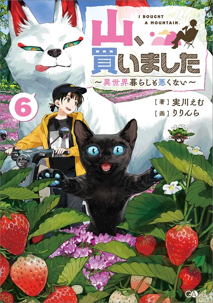 山、買いました 6
