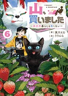 山、買いました 6