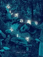 ふしぎの森のふしぎ