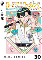 【分冊版】ロード・オブ・ザ・ウェディング〜勇者の婚活〜 30